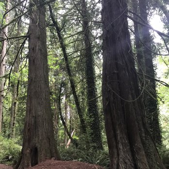 Burfoot Park - Lovely. - Parks Near Me - Olympia, Washington
