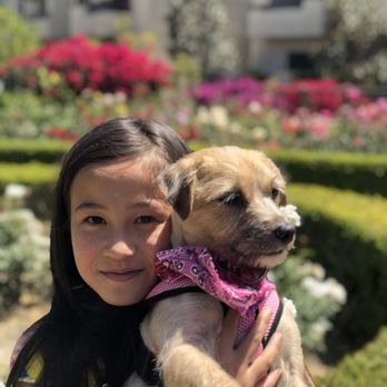 Ken-Mar Rescue - We LOVE Molly from Ken-Mar Rescue! She's a perfect new member of our family. Thank you! - Animal Shelters Near Me Ken-Mar Rescue - We LOVE Molly from Ken-Mar Rescue! She's a perfect new member of our family. Thank you! - Animal Shelters Near Me