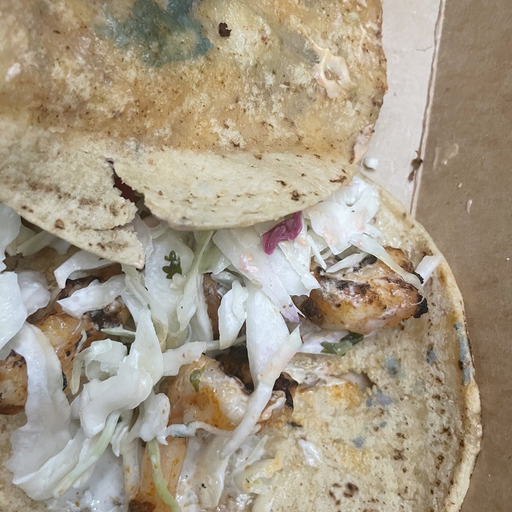 Tacomida - Moldy taco - Mexican Near Me - Shelton, Connecticut Tacomida - Moldy taco - Mexican Near Me - Shelton, Connecticut