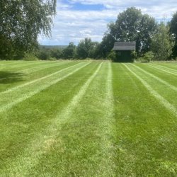 Dave's Property Maintenance