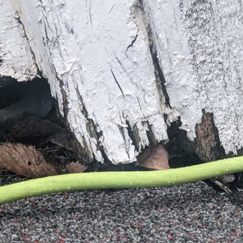 Premier Professional Inspections - a green hose attached to a wooden wall - Home Inspectors Near Me - Edmond, Oklahoma Premier Professional Inspections - a green hose attached to a wooden wall - Home Inspectors Near Me - Edmond, Oklahoma