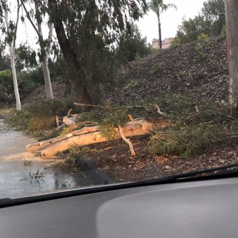 JJ Tree service - Tree Services Near Me