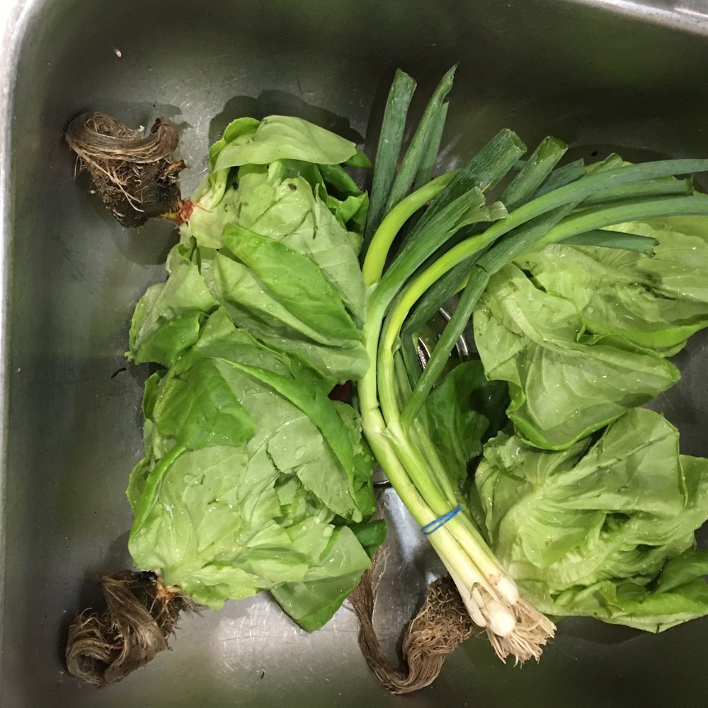 Farmhouse Delivery - Beautiful - CSA Near Me - Austin, Texas