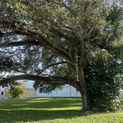 The Children's Museum of the Treasure Coast