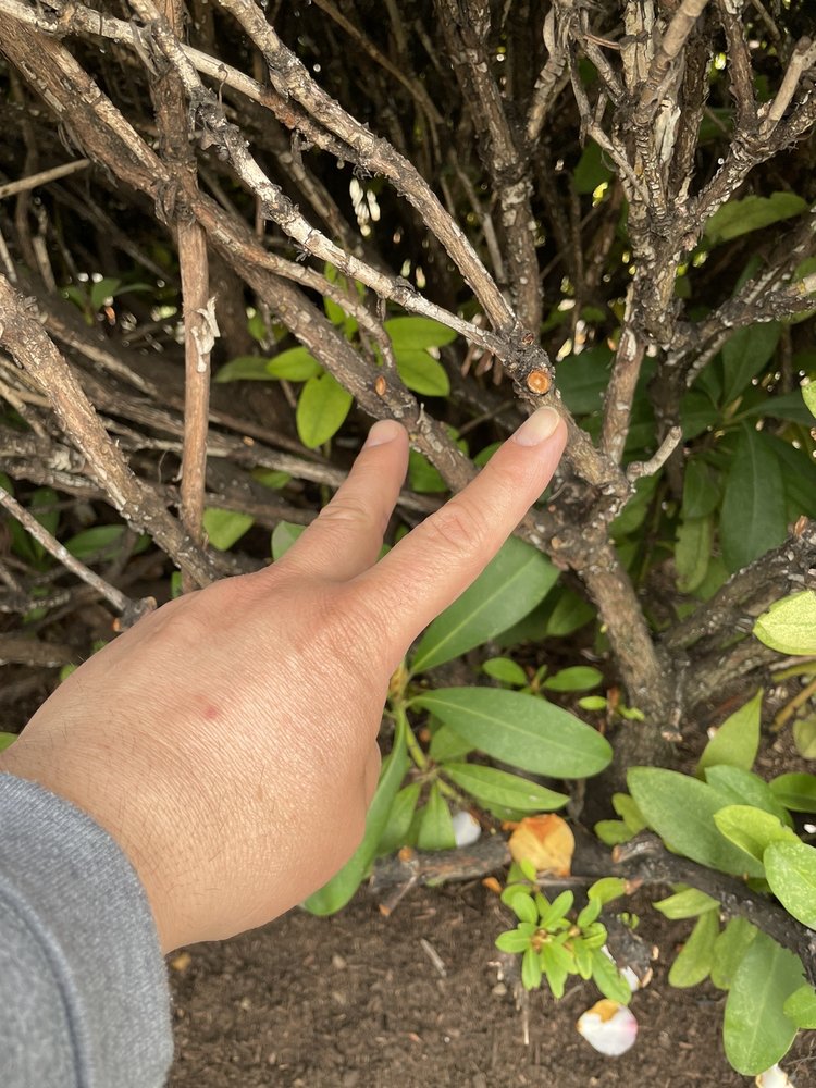 Slide of Northwest Backflow Inspection and Testing Services