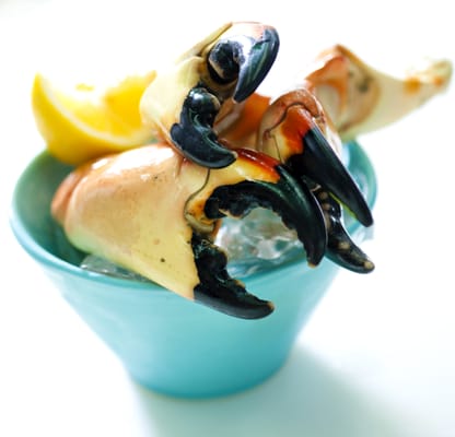My Ceviche by null