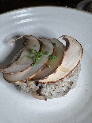 Domodomo Kō by null