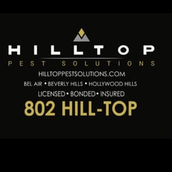 Hilltop Pest Solutions - Company logo and Phone number :)