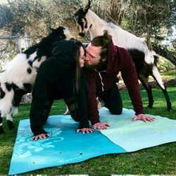 Blissful Goat Yoga
