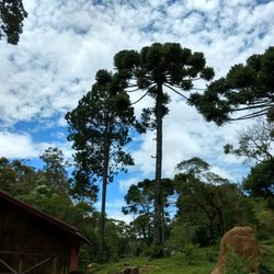 Pedra do Baú - .
