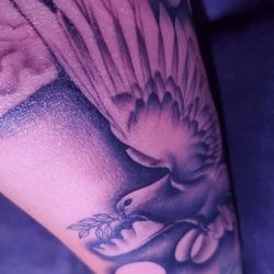 Finish..