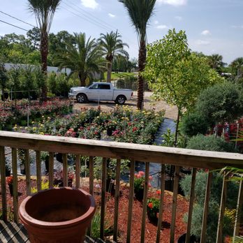 Three Sisters Nursery - Nurseries & Gardening Near Me - Houston, Texas