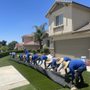 Photo of Artificial Grass Solution