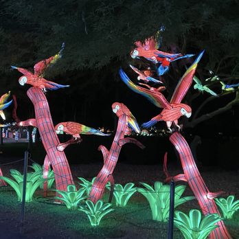 Tianyu Lights Festival - Festivals Near Me - Phoenix, Arizona Tianyu Lights Festival - Festivals Near Me - Phoenix, Arizona