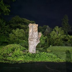 Red Carpet Inn - Tree out back.
