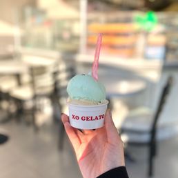 Mint chocolate and custard Mint chocolate and custard