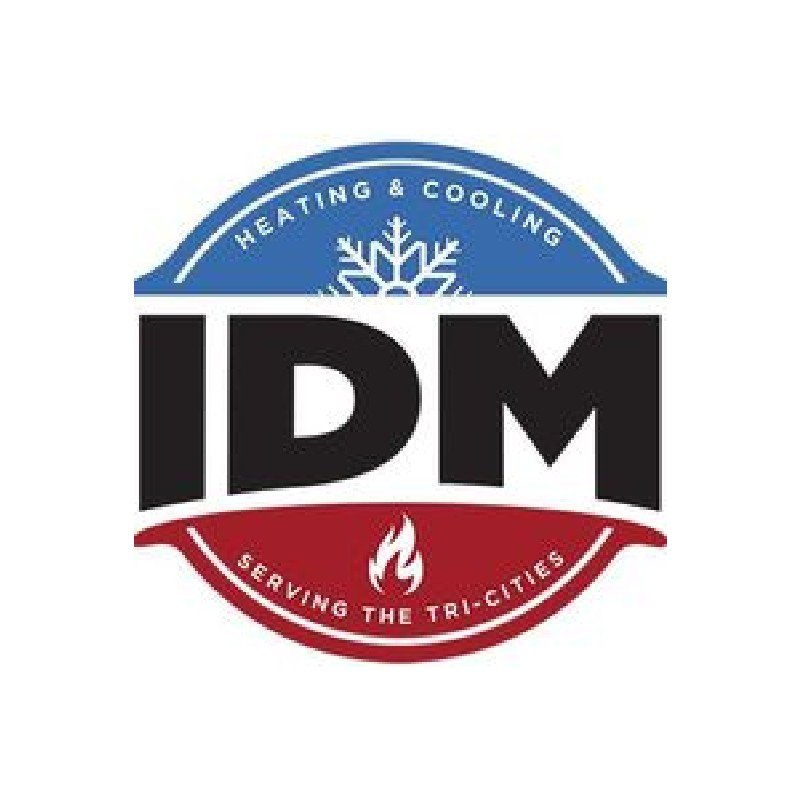 Slide of IDM