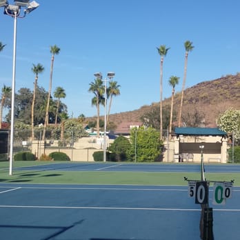 Palm Kings Tree Service - Recent project at Gold Key Raquet Club - Tree Services Near Me Palm Kings Tree Service - Recent project at Gold Key Raquet Club - Tree Services Near Me