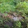 Photo of Williamson Park