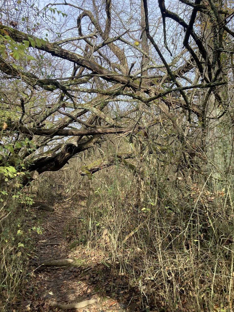 Social spots from Spring Valley Nature Preserve