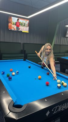 The Pool Turtle by null