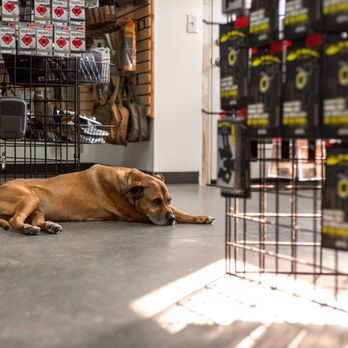 Texas Tactical Gear - Guns & Ammo Near Me - Houston, Texas Texas Tactical Gear - Guns & Ammo Near Me - Houston, Texas