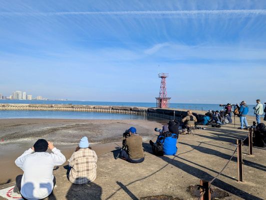 Montrose Point Bird Sanctuary by null