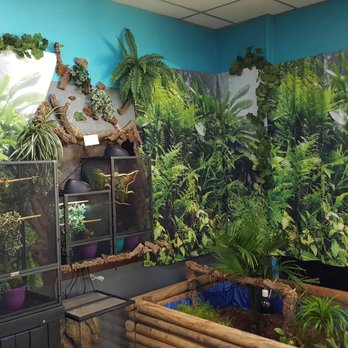 Green's Pet Center - Pet Stores Near Me - Granbury, Texas Green's Pet Center - Pet Stores Near Me - Granbury, Texas