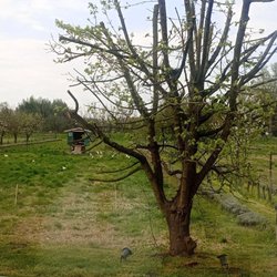Cascina Caremma