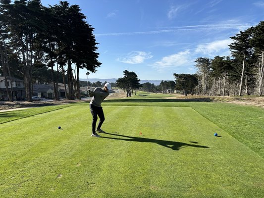 Bayonet & Black Horse by null