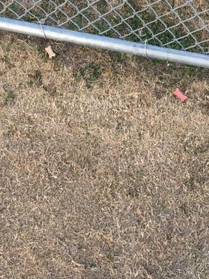 Top murfin animal shelter Outlet Online