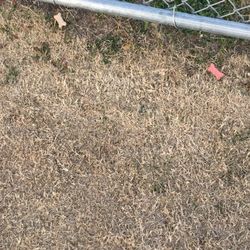 Murfin Animal Care Campus - Treats left along fence line, that started multiple dog fights while I was there less than 20 minutes.