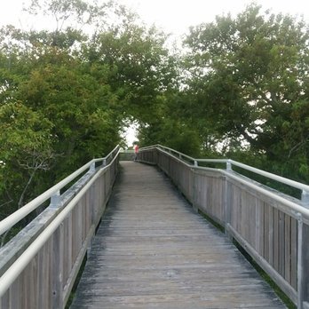 Assateague State Park - Boardwalk at the marsh trail. - Parks Near Me - Berlin, Maryland