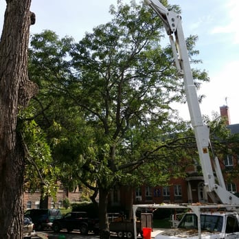 Arborgreen Tree Service - Tree Services Near Me - Evanston, Illinois Arborgreen Tree Service - Tree Services Near Me - Evanston, Illinois