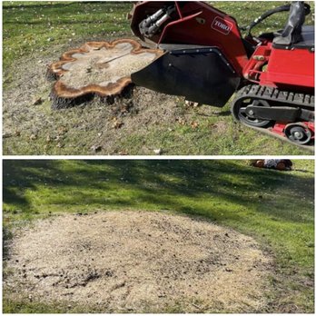 Twin River landscaping - a tree stump being removed - Landscaping Near Me
