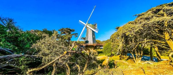 Dutch Windmill by null