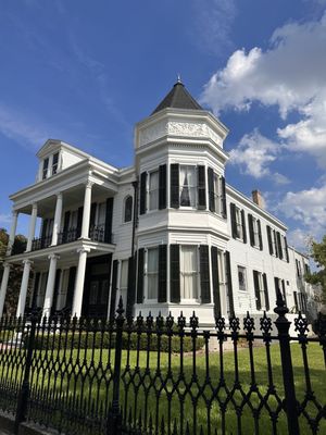 Nola Tour Guy by null