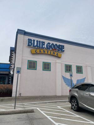 Blue Goose Cantina Mexican Restaurant by null