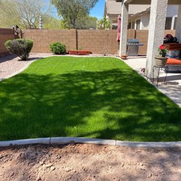 Backyard Backyard
