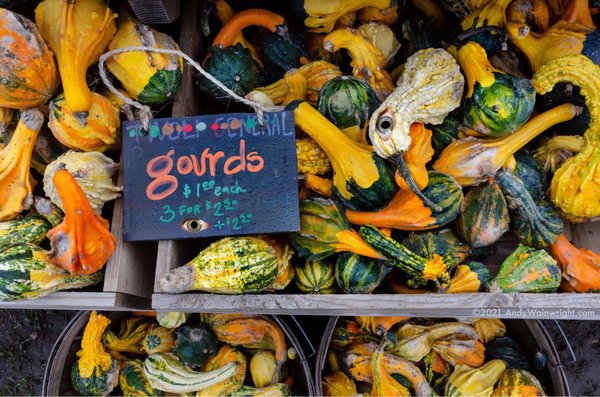 Montgomery Place Orchards by null