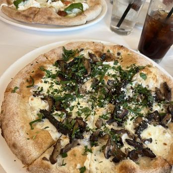 Taverna - Funghi e Tartufo Pizza - Italian Near Me - Austin, Texas Taverna - Funghi e Tartufo Pizza - Italian Near Me - Austin, Texas