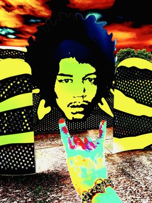 Jimi Hendrix Park by null