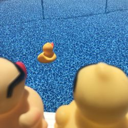 Pleasure Pools & Spas - Summer vibes...