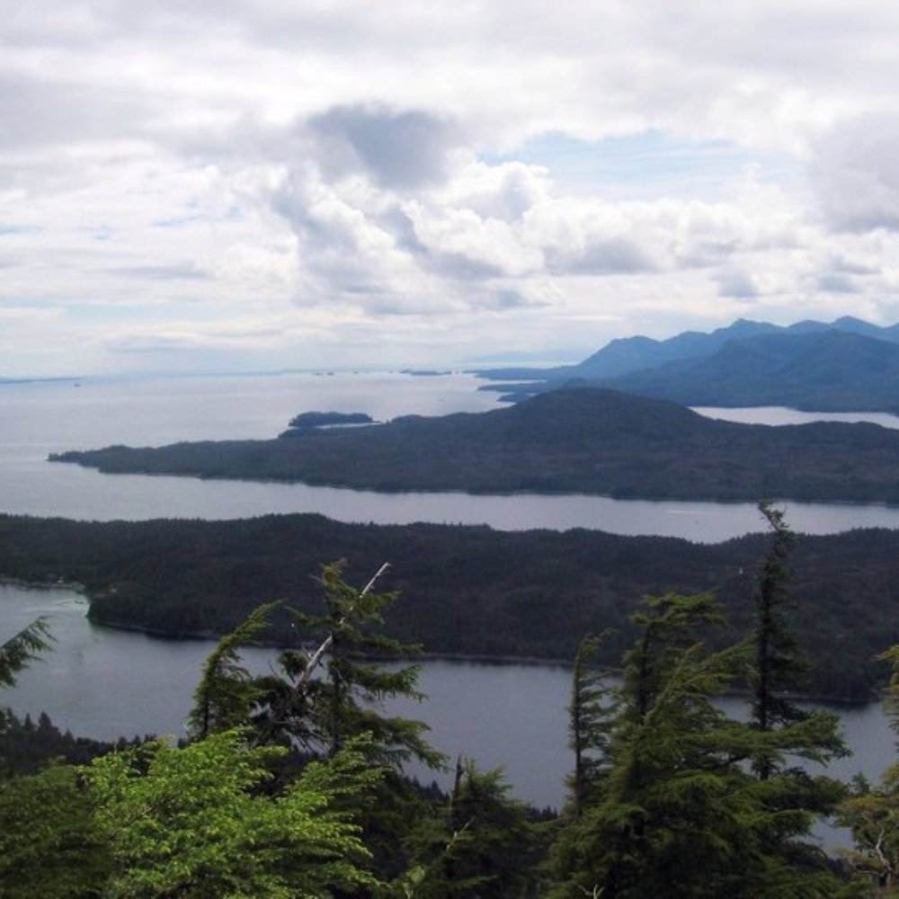 Deer Mountain Trail - Hiking Near Me - Ketchikan, Alaska Deer Mountain Trail - Hiking Near Me - Ketchikan, Alaska