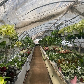 Rosales Nursery - Nurseries & Gardening Near Me - Long Beach, California Rosales Nursery - Nurseries & Gardening Near Me - Long Beach, California