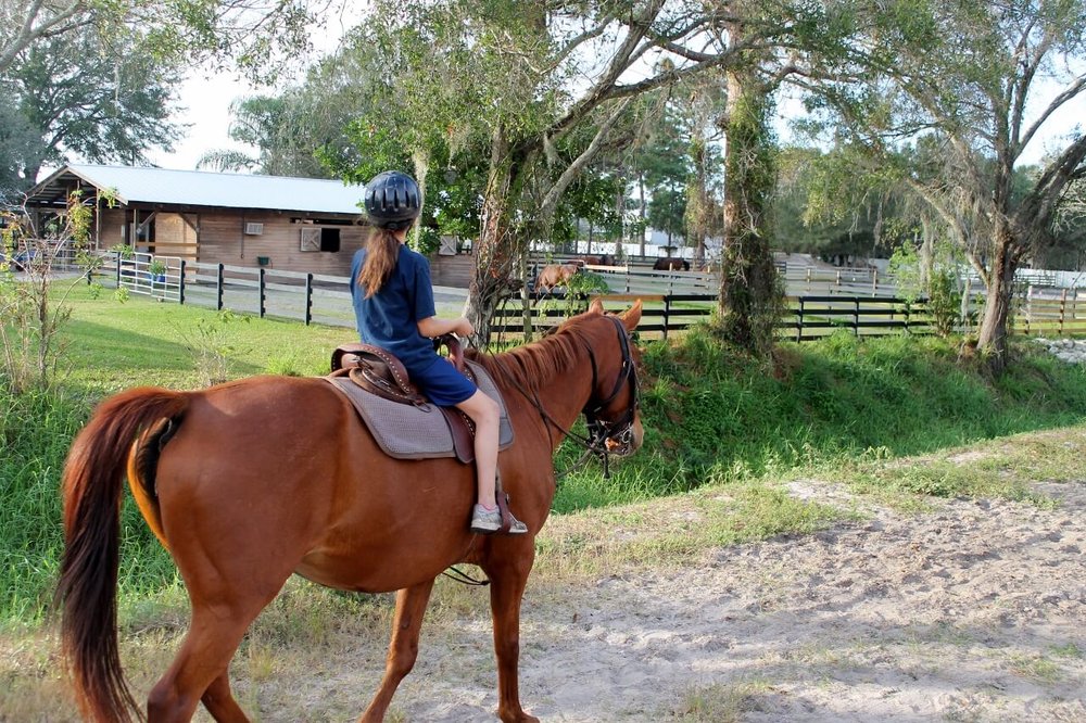Cavara Horse Riding - equestrian in Jacksonville, FL