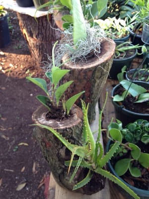 Redland Ranch by null