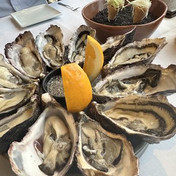 Mudbrick Vineyard and Restaurant - Oysters - Wineries Near Me - Auckland, AUK Mudbrick Vineyard and Restaurant - Oysters - Wineries Near Me - Auckland, AUK