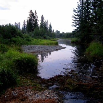 Weaselhead Flats - The Backwater Lagoon - Parks Near Me - Calgary, Alberta