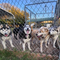 The Four Paws Resort - Smiles all the way around!!!!